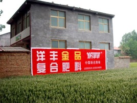 泰和县如何让墙体广告展现最大化效果