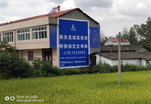 泰和县决定墙体广告价格的因素有哪些?