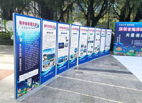 泰和县KT板的种类和知识。